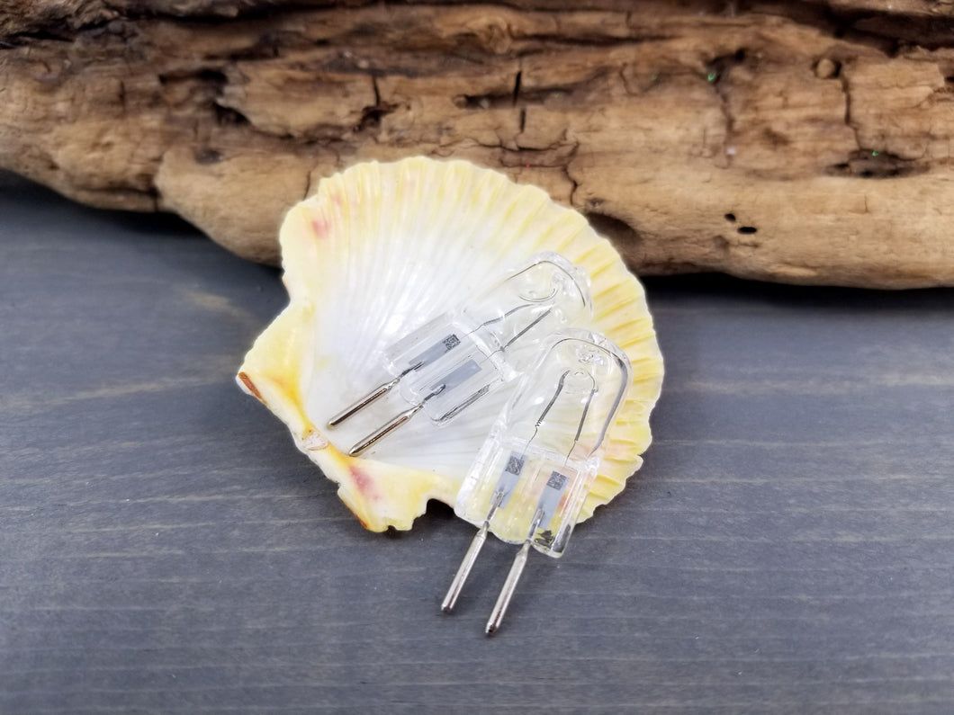 Replacement Bulb