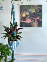 Tropical Paradise Large Beaded Macrame Planter- Teal