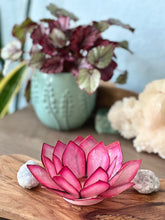 Capiz Shell Lotus Tealight Holder- Flamingo Paradise