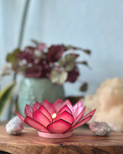 Capiz Shell Lotus Tealight Holder- Flamingo Paradise