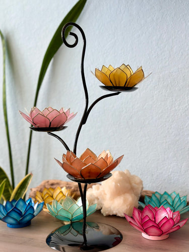 Climbing Vine Metal Stand