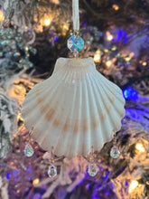 Shell Ornament Suncatcher
