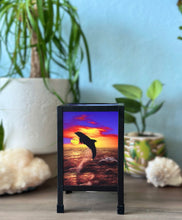 Dolphin Multi-Image Wax Melt & Oil Warmer